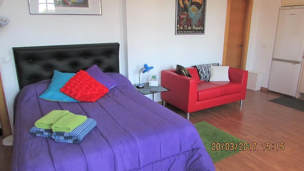Ole Malaga Apartment Spain