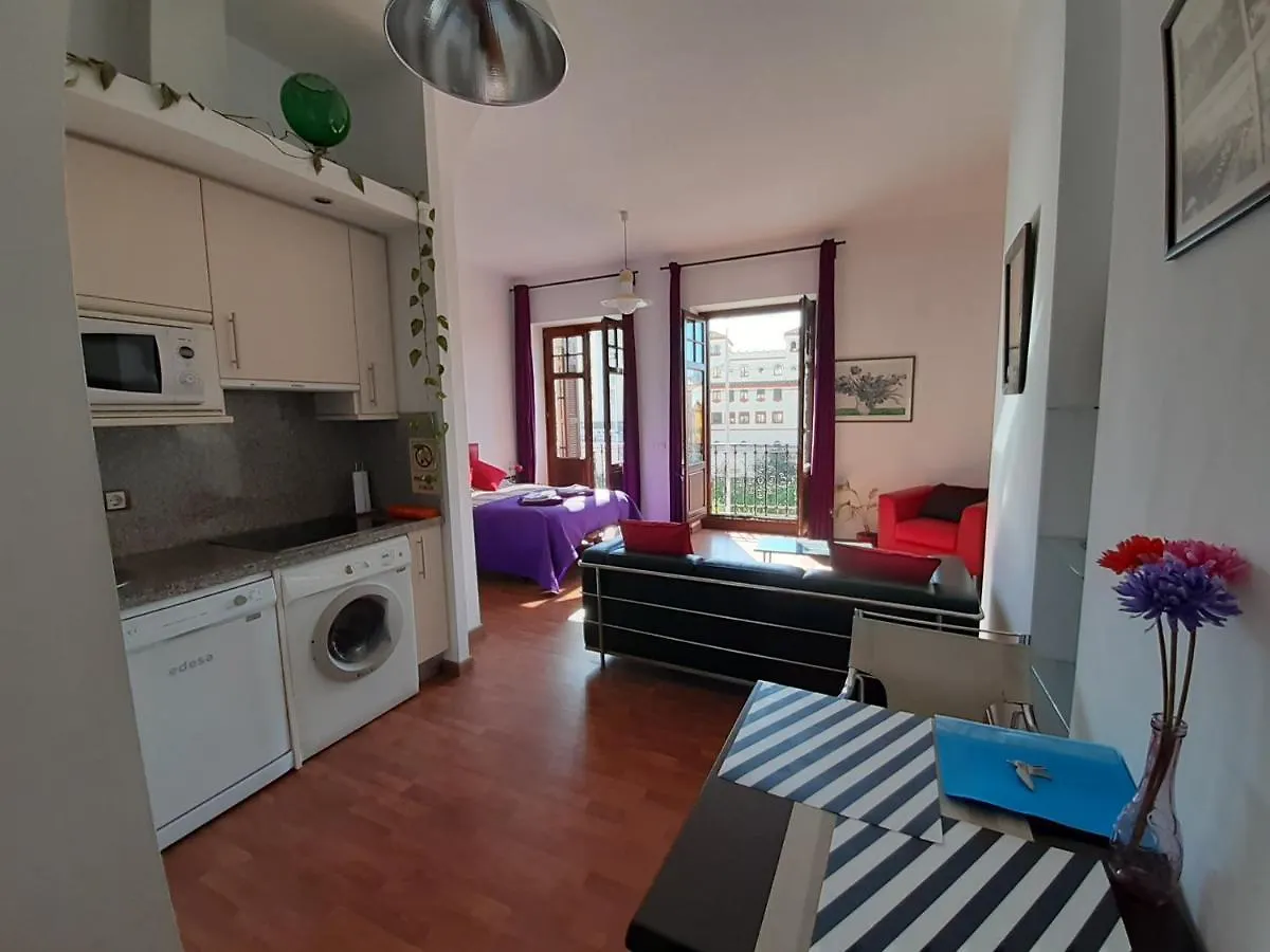 Apartmán Ole Màlaga